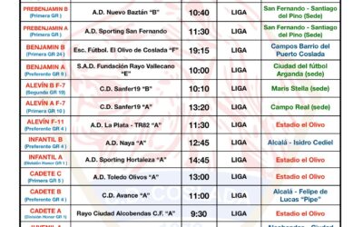 PARTIDOS 12-13 DE NOVIEMBRE